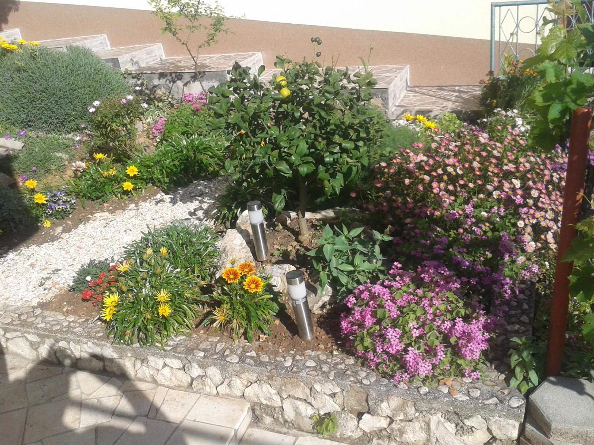 Zdenka * Rogoznica (Sibenik-Knin)